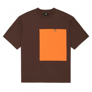 Brown Teddy Fresh Big Pocket Tee | 6180ZGYXW