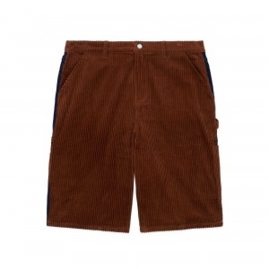 Brown Teddy Fresh Two Tone Corduroy Shorts | 2763ASXPF