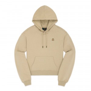 Khaki Teddy Fresh Classic Hoodie | 3598CPDNO