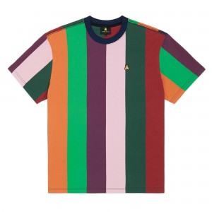 Multi Teddy Fresh Giant Stripe Tee | 8027XUIML