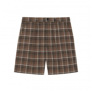 Multi Teddy Fresh Suiting Pleat Shorts | 2450ONHQJ