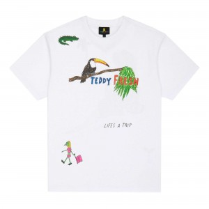 White Teddy Fresh Iguana Tee | 0157YZLHF