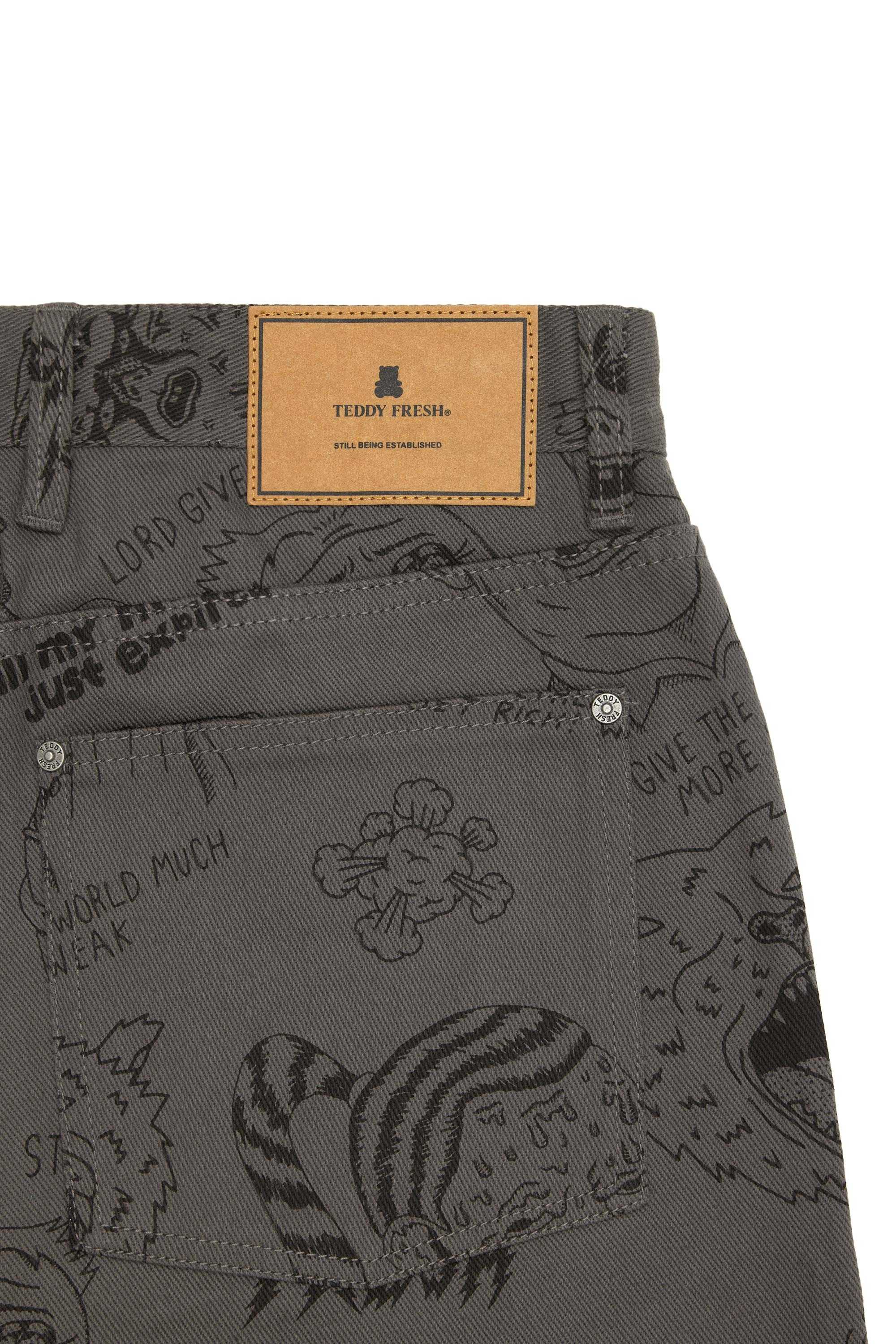 Grey Teddy Fresh Will Laren Sketches Carpenter Pants | 9802QLIAF