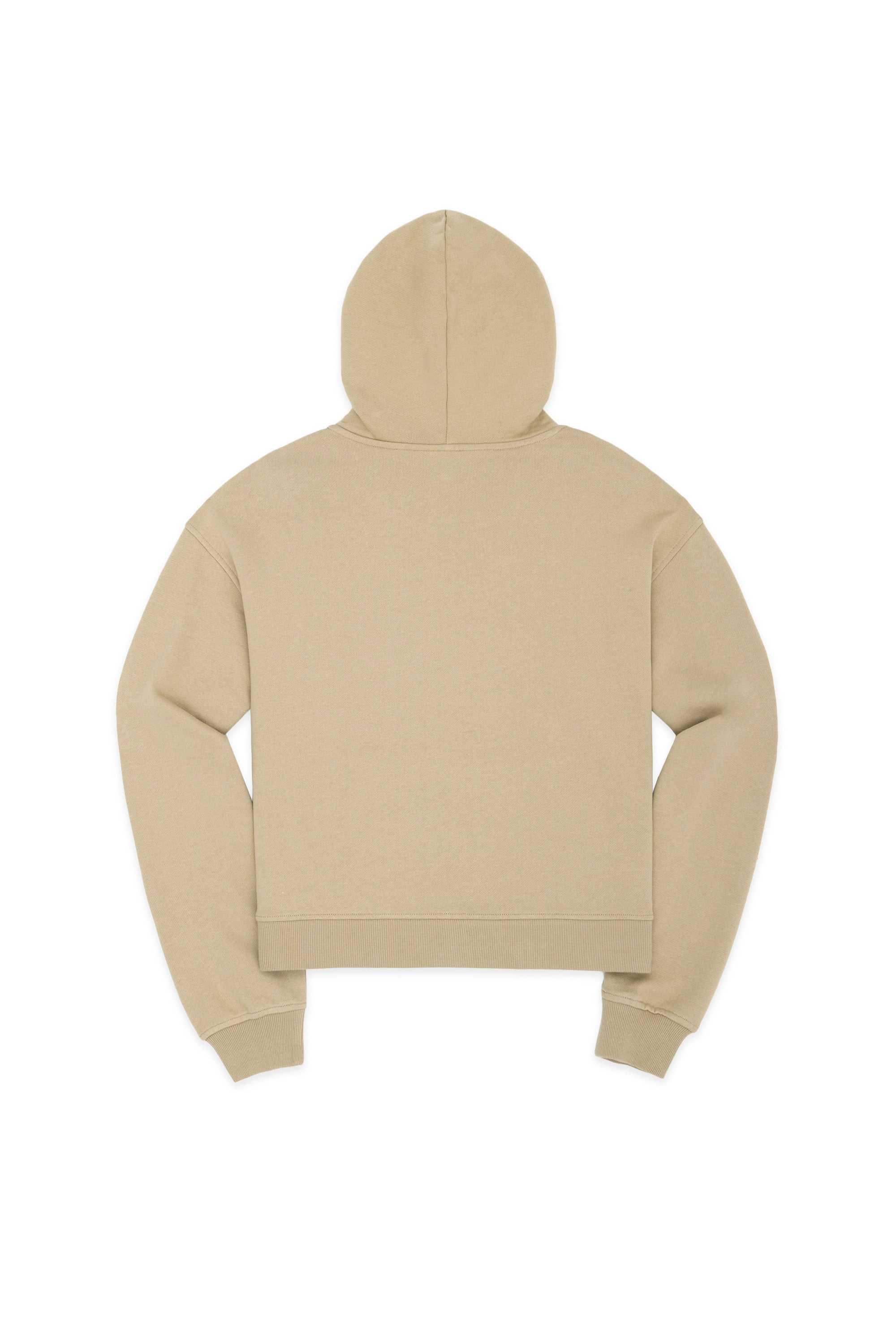 Khaki Teddy Fresh Classic Hoodie | 3598CPDNO