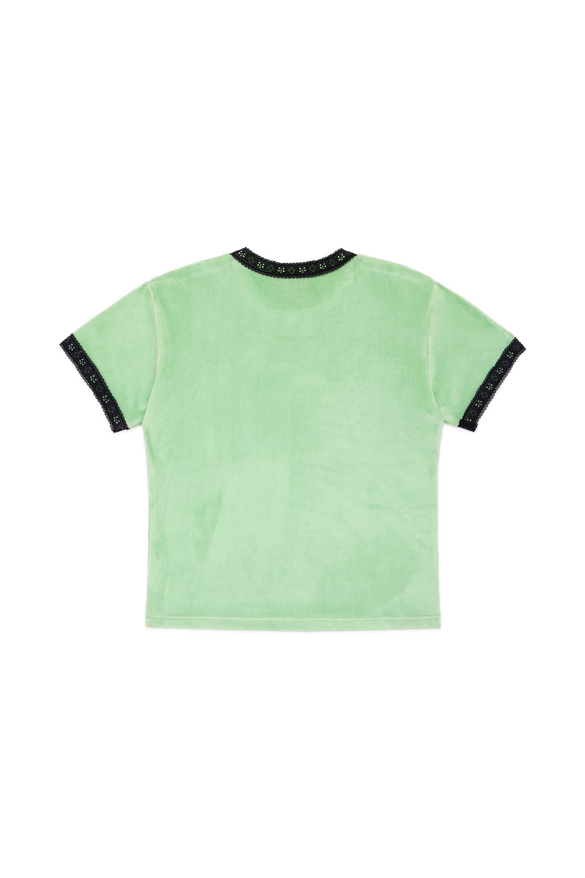 Mint Teddy Fresh Mint Velour Tee | 0618ACHML