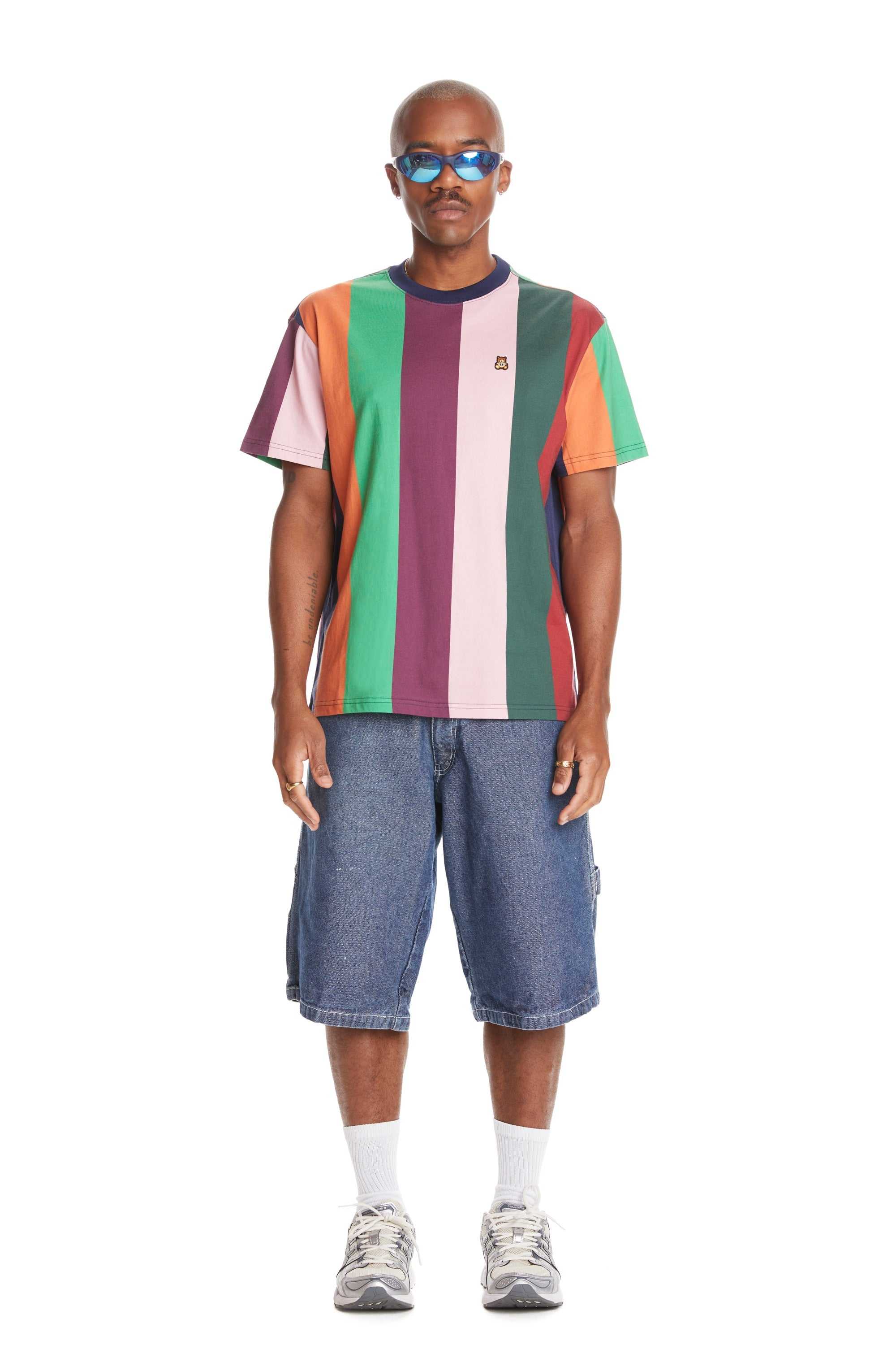 Multi Teddy Fresh Giant Stripe Tee | 8027XUIML