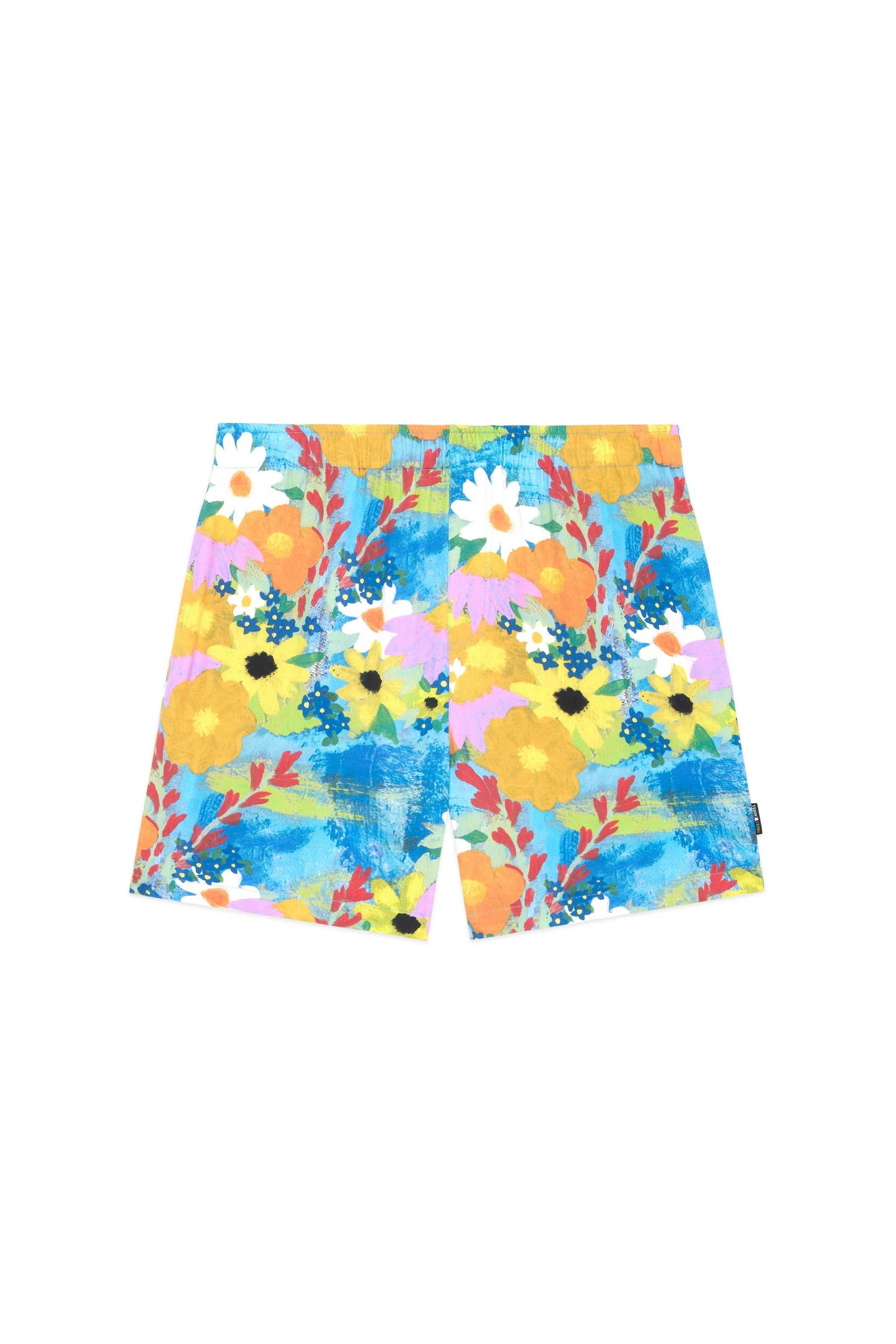 Multi Teddy Fresh TF x Celia Landreth Shorts | 9725ADRYT