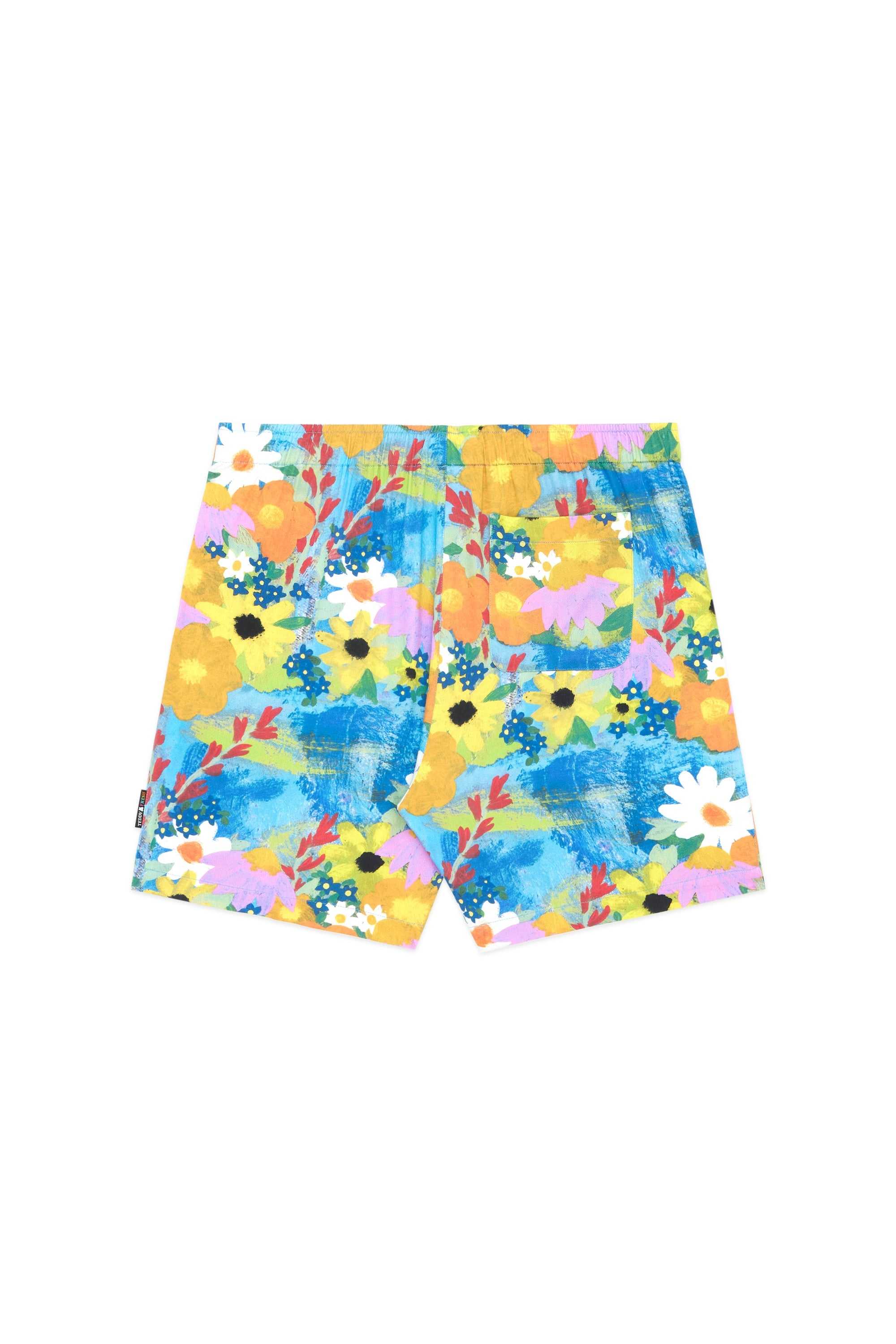 Multi Teddy Fresh TF x Celia Landreth Shorts | 9725ADRYT