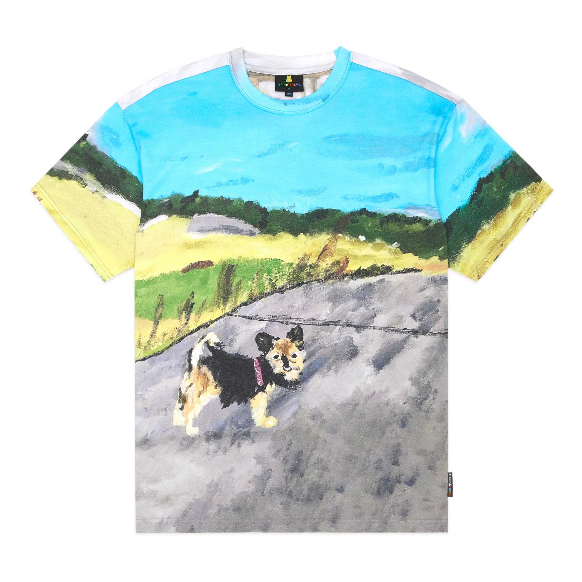 Multi Teddy Fresh TF x Tom Coomber Tee | 3819FQJCY