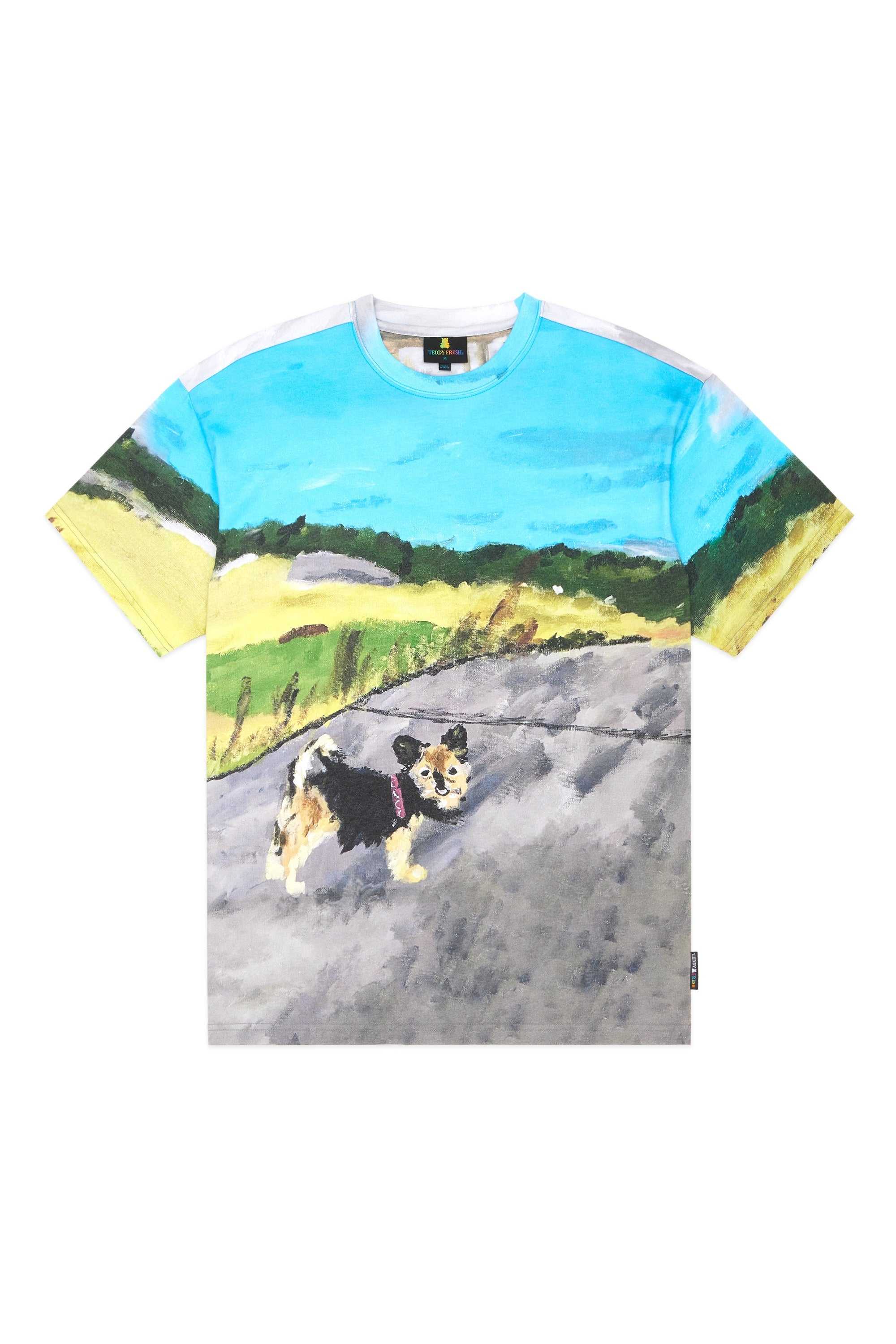 Multi Teddy Fresh TF x Tom Coomber Tee | 3819FQJCY